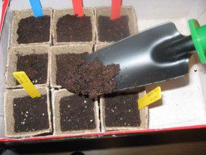 Pasos para preparar un buen sustrato para semilleros